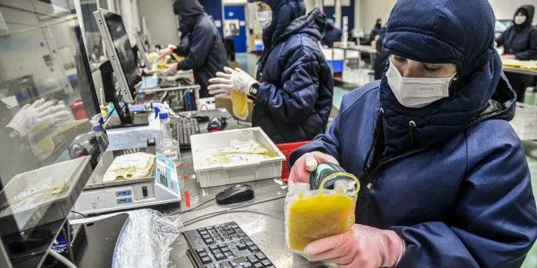 Projeto dispensa licitação para medicamentos produzidos pela Hemobrás projeto-dispensa-licitacao-para-medicamentos-produzidos-pela-hemobras